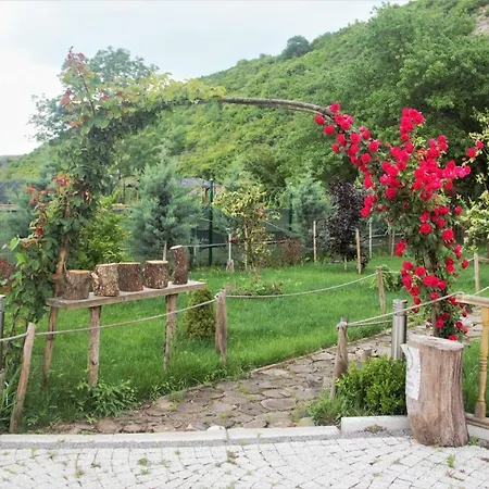 Unique And Peaceful Bungalow House On Riverside Feriehus Ağva